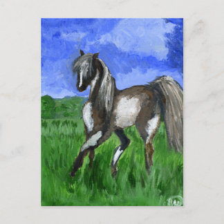 Postal Arte de caballo Dreamer pinto
