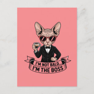 Postal Arte de café con gato Sphynx jefe genial