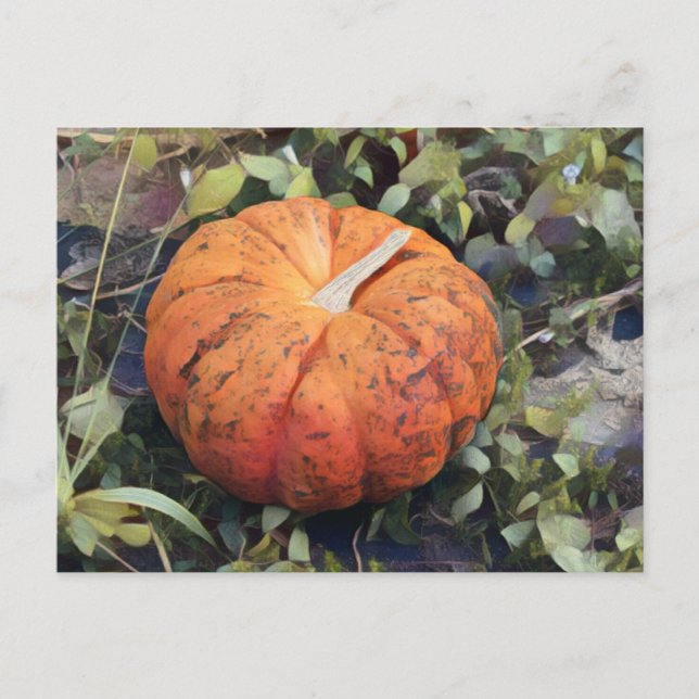 Postal Arte de calabaza (Anverso)