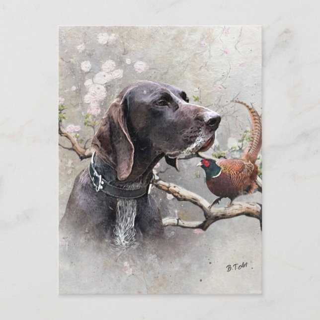 Postal Arte de caza con GSP: precisión, pasión y faisán (Anverso)