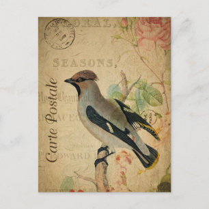 Postal Arte de collage de pájaros con flores de la época 