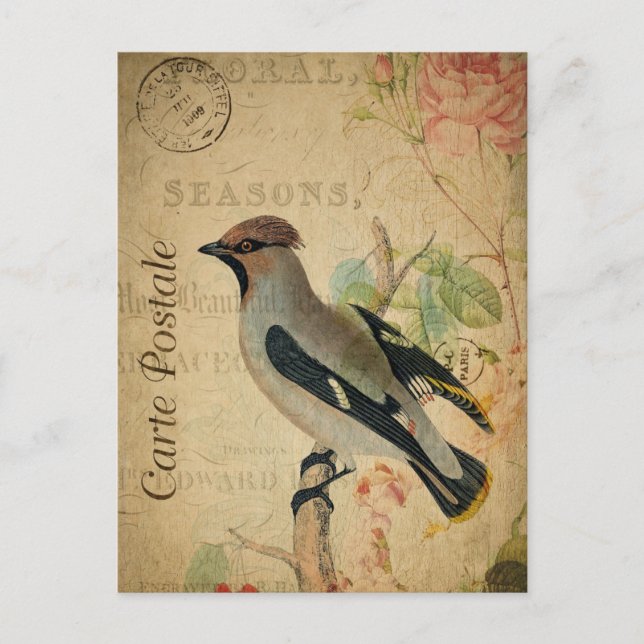 Postal Arte de collage de pájaros con flores de la época  (Anverso)