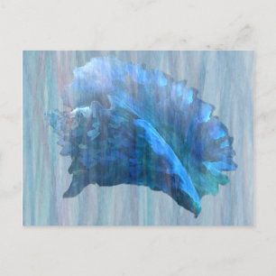Postal Arte de concha azul en la concha