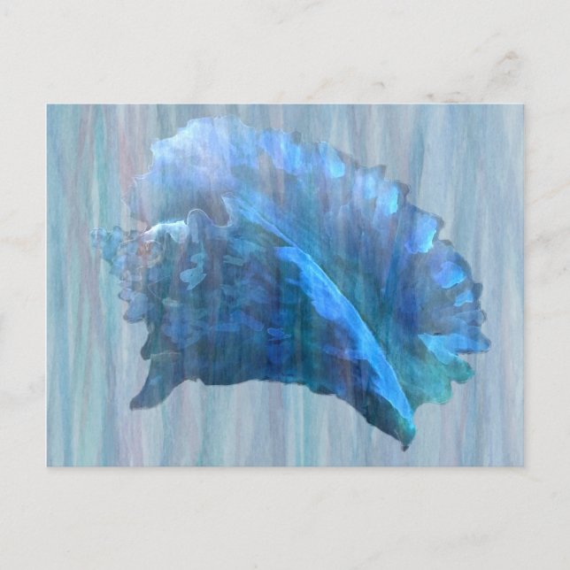 Postal Arte de concha azul en la concha (Anverso)