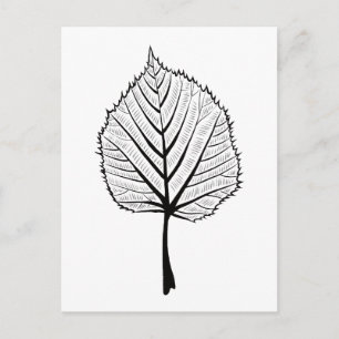 Postal Arte de contorno de hoja de tilo - Coloración botá