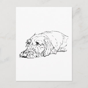 Postal Arte de Dachshund de Pelo Duro - Lindo