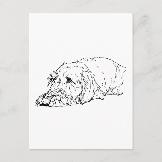 Postal Arte de Dachshund de Pelo Duro - Lindo (Anverso)