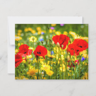 Postal Arte De Daisies Y Poppies