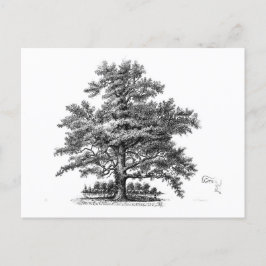 Postal Arte de deformación de éfemera de árbol de vintage