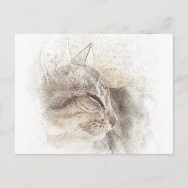 Postal Arte de dibujo de lápiz digital para gatos pacífic (Anverso)