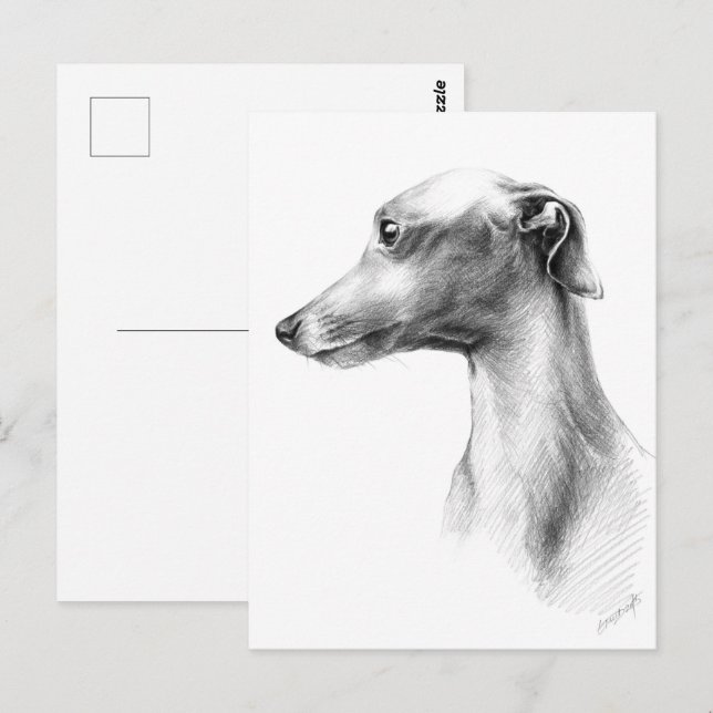 Postal Arte de dibujo del retrato de perro blanco Greyhou (Anverso / Reverso)