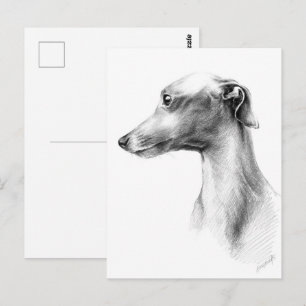 Postal Arte de dibujo del retrato de perro blanco Greyhou