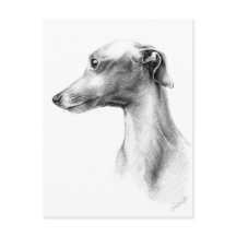 Arte de dibujo del retrato de perro blanco Greyhou
