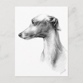 Postal Arte de dibujo del retrato de perro blanco Greyhou