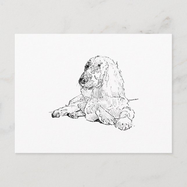 Postal Arte de dibujo lineal de Cocker Spaniel Perro  (Anverso)