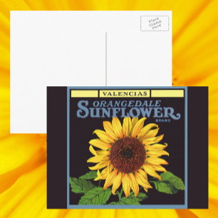 Postal Arte de etiqueta de caja de frutas vintage Oranged