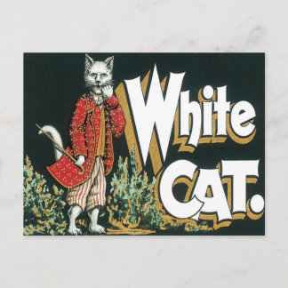 Postal Arte de etiqueta de cigarro de gato blanco vintage