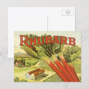Postal Arte de Etiquetas de Latas de Verduras Antiguas, G