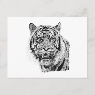 Postal Arte de fauna en blanco y negro cabeza de tigre pu