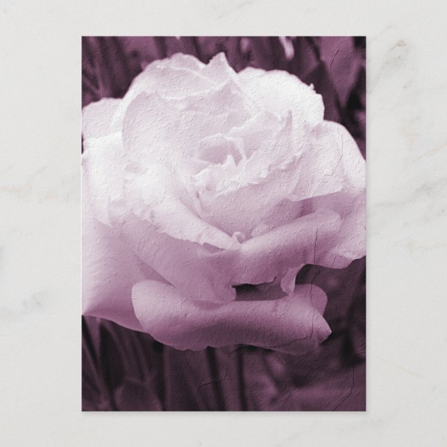 Postal Arte de flores (Anverso)