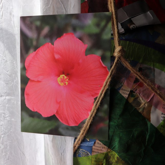 Postal Arte de flores tropicales de Hibiscus (Subido por el creador)