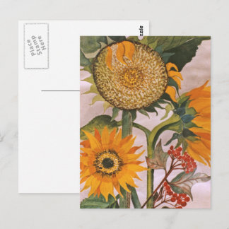 Postal Arte de girasol naranja amarillo germinando