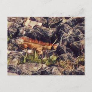 Postal Arte de Guana Naranja