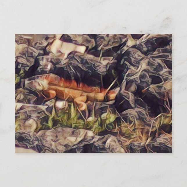 Postal Arte de Guana Naranja (Anverso)