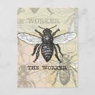 Postal Arte de ilustración vintage de abeja trabajadora