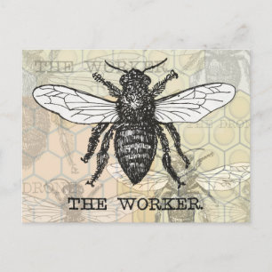 Postal Arte de ilustración vintage de abeja trabajadora