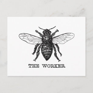 Postal Arte de ilustración vintage de abeja trabajadora