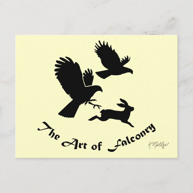 Postal Arte de la cetrería - Harris Hawks (Anverso)
