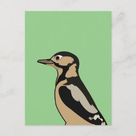 Postal Arte de la naturaleza de los pájaros carpinteros