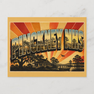 Postal Arte de la plantación Pinckney NHS SC Live Oak Mar