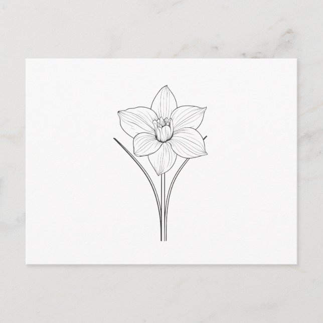 Postal Arte de línea de narciso blanco negro (Anverso)