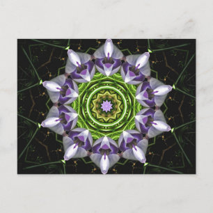 Postal Arte de Mandala de Floral Púrpura en Calidoscopio