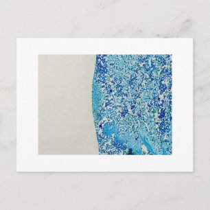 Postal Arte de Marble Azul