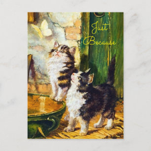Postal Arte de mariposa de gatitos curiosos vintage solo 