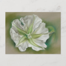 Postal Arte de Moonflower Pastel por la noche