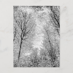 Postal Arte de nieve forestal