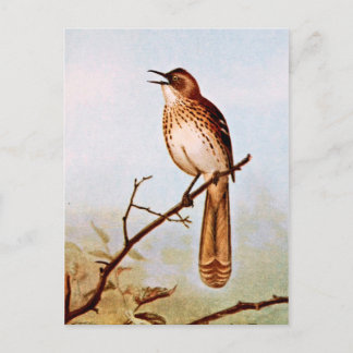 Postal Arte de pájaro marrón