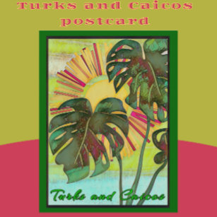 Postal Arte de Paraíso Tropical Turco y Caicos