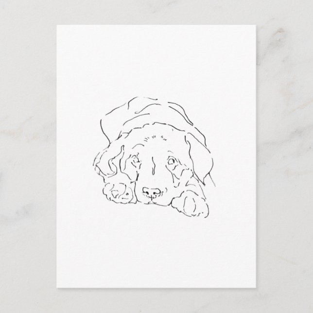 Postal Arte de Pared Labrador Retriever Adorable, Dibujo  (Anverso)
