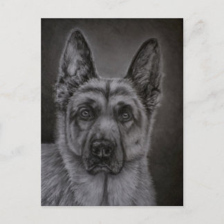 Postal Arte de perro pastor alemán - Noble