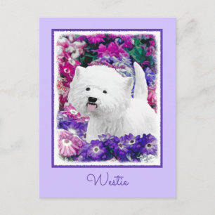Postal Arte de perros pintando el territorio blanco de We