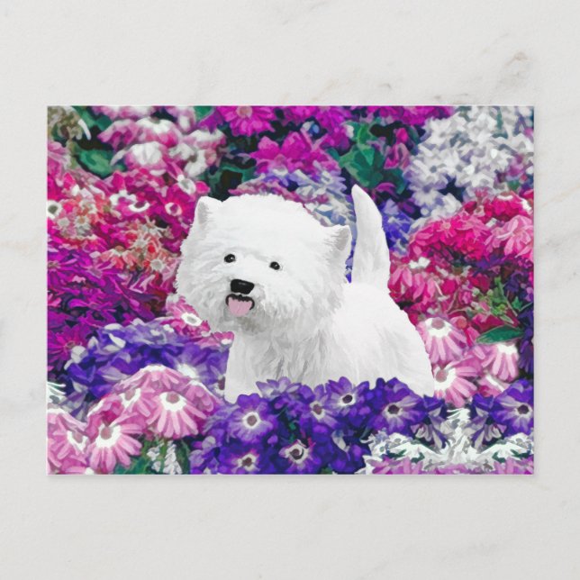 Postal Arte de perros pintando el territorio blanco de We (Anverso)