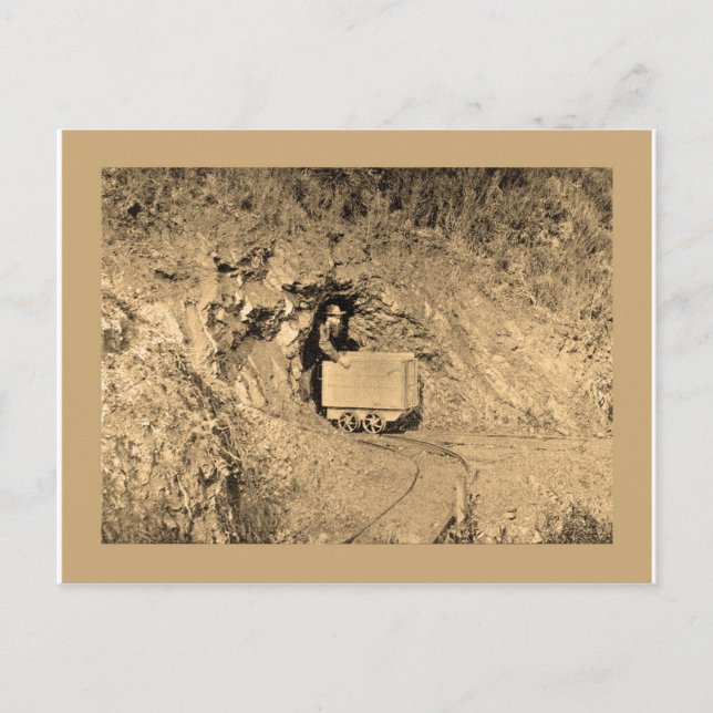 Postal Arte de planificación del oro para camisetas (Anverso)