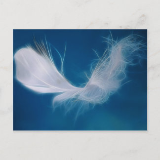 Postal Arte de plumas blancas - símbolo de pureza e inoce