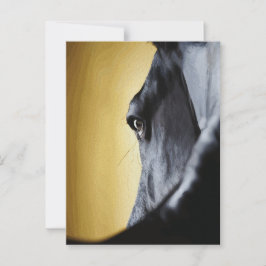 Postal Arte de primer plano del ojo de caballo majestuoso