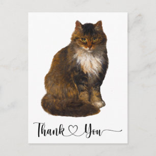 Postal Arte de retrato de gato Maine Coon Guión de agrade
